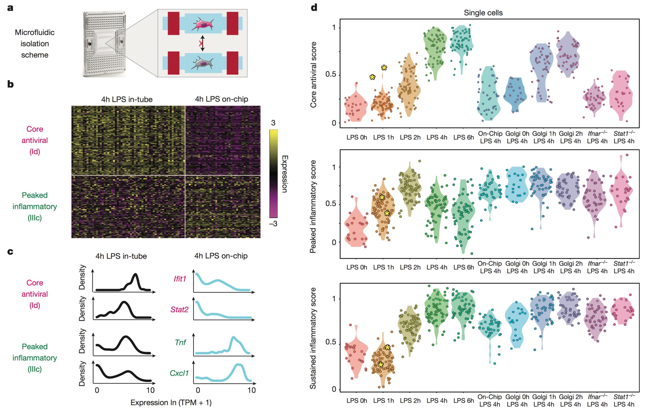 Modulating the microenvironments and signaling properties of single DCs with microfluidic, genetic, and chemical methods reveals how ensemble DC responses to LPS emerge through paracrine signaling waves. (Shalek et al., Nature, 2014).
