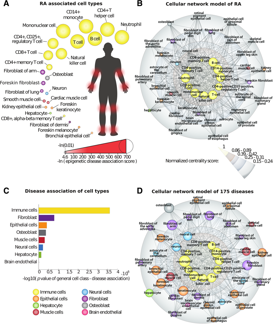 A validated single-cell-based strategy to identify diagnostic and therapeutic targets in complex diseases