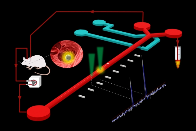 Optofluidic real-time cell sorter for longitudinal CTC studies in mouse models of cancer