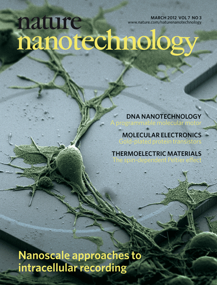Vertical nanowire electrode arrays as a scalable platform for intracellular interfacing to neuronal circuits