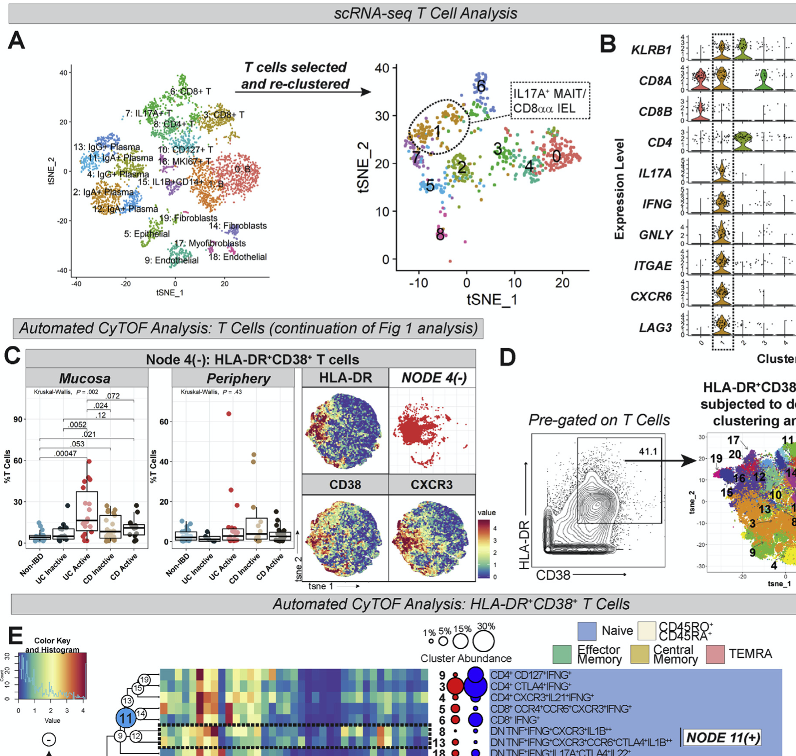Single-Cell Analyses of Colon and Blood Reveal Distinct Immune Cell Signatures of Ulcerative Colitis and Crohn’s Disease