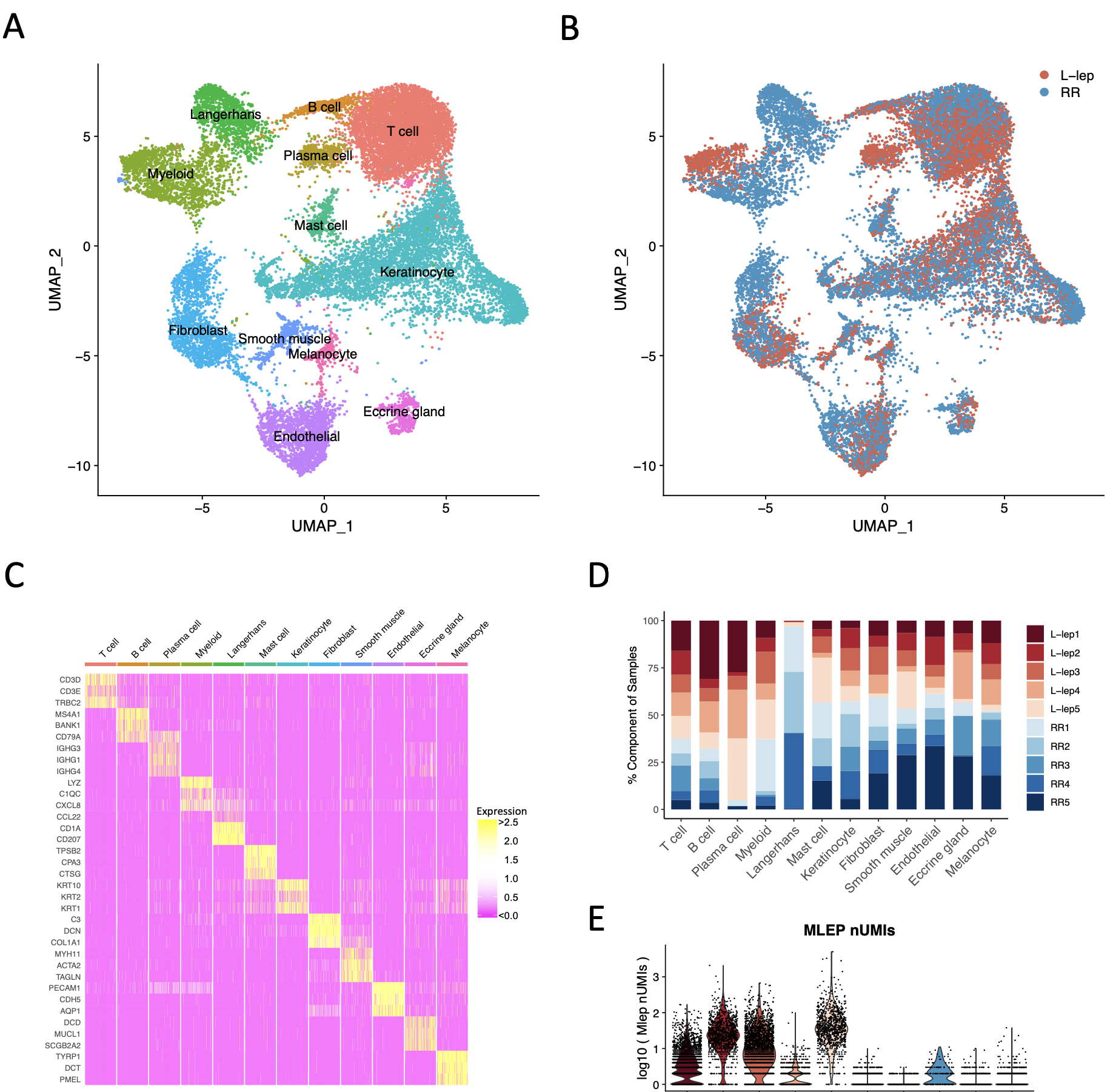 Single cell and spatial transcriptomics defines the cellular architecture of the antimicrobial response network in human leprosy granulomas