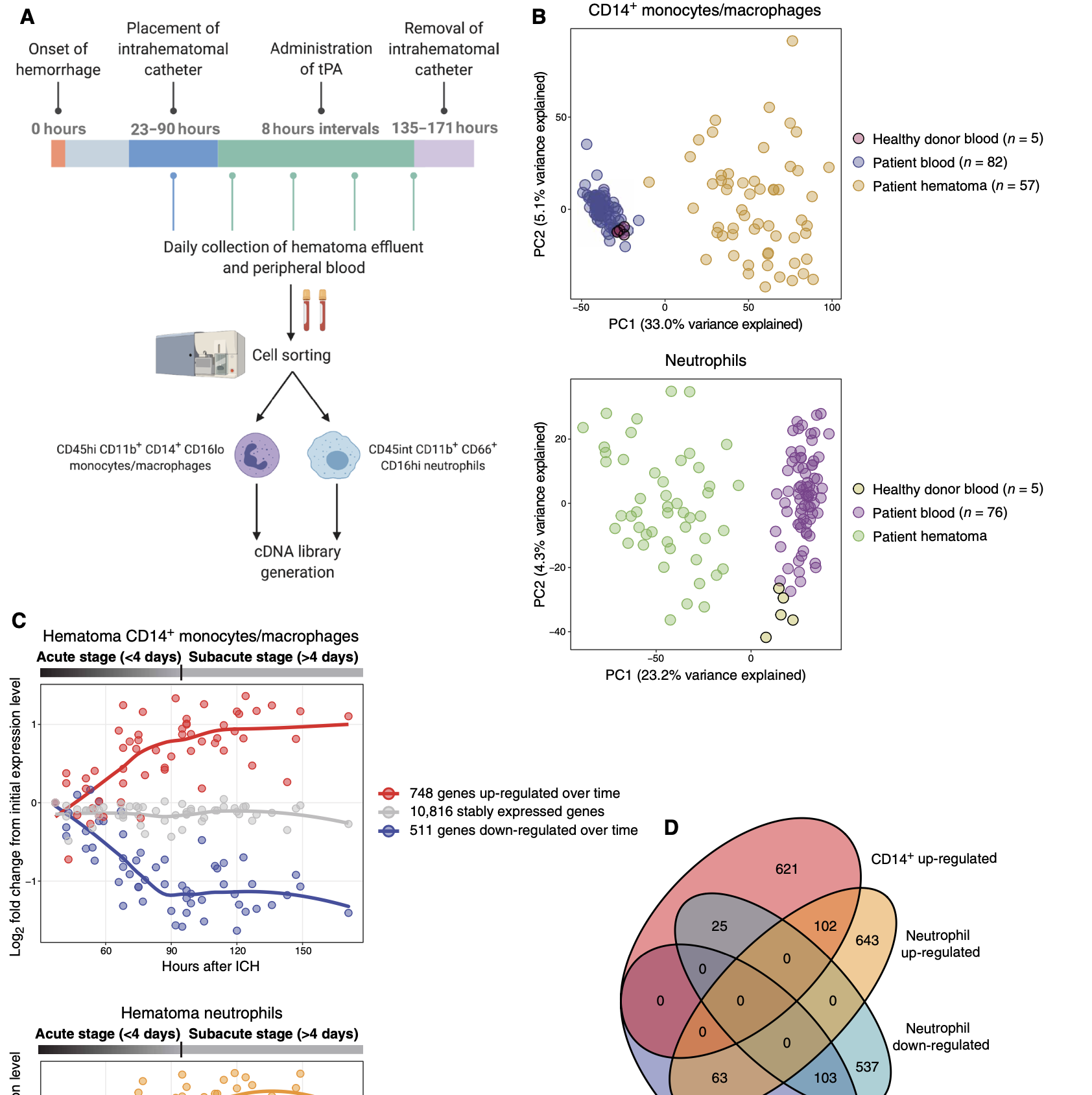 Longitudinal transcriptomics define the stages of myeloid activation in the living human brain after intracerebral hemorrhage