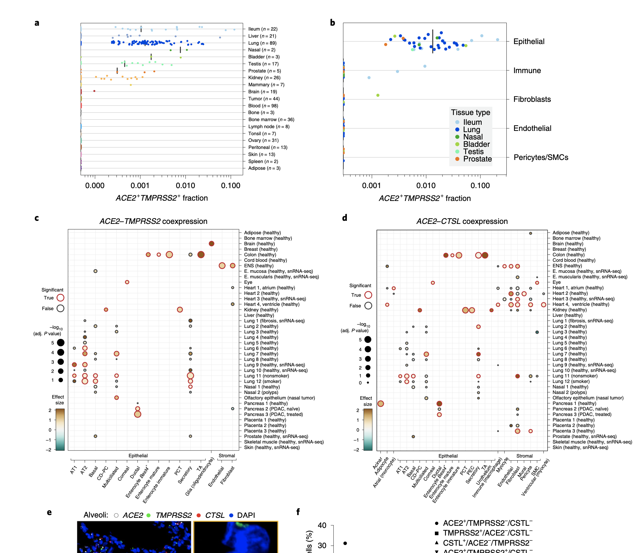 Single-cell meta-analysis of SARS-CoV-2 entry genes across tissues and demographics