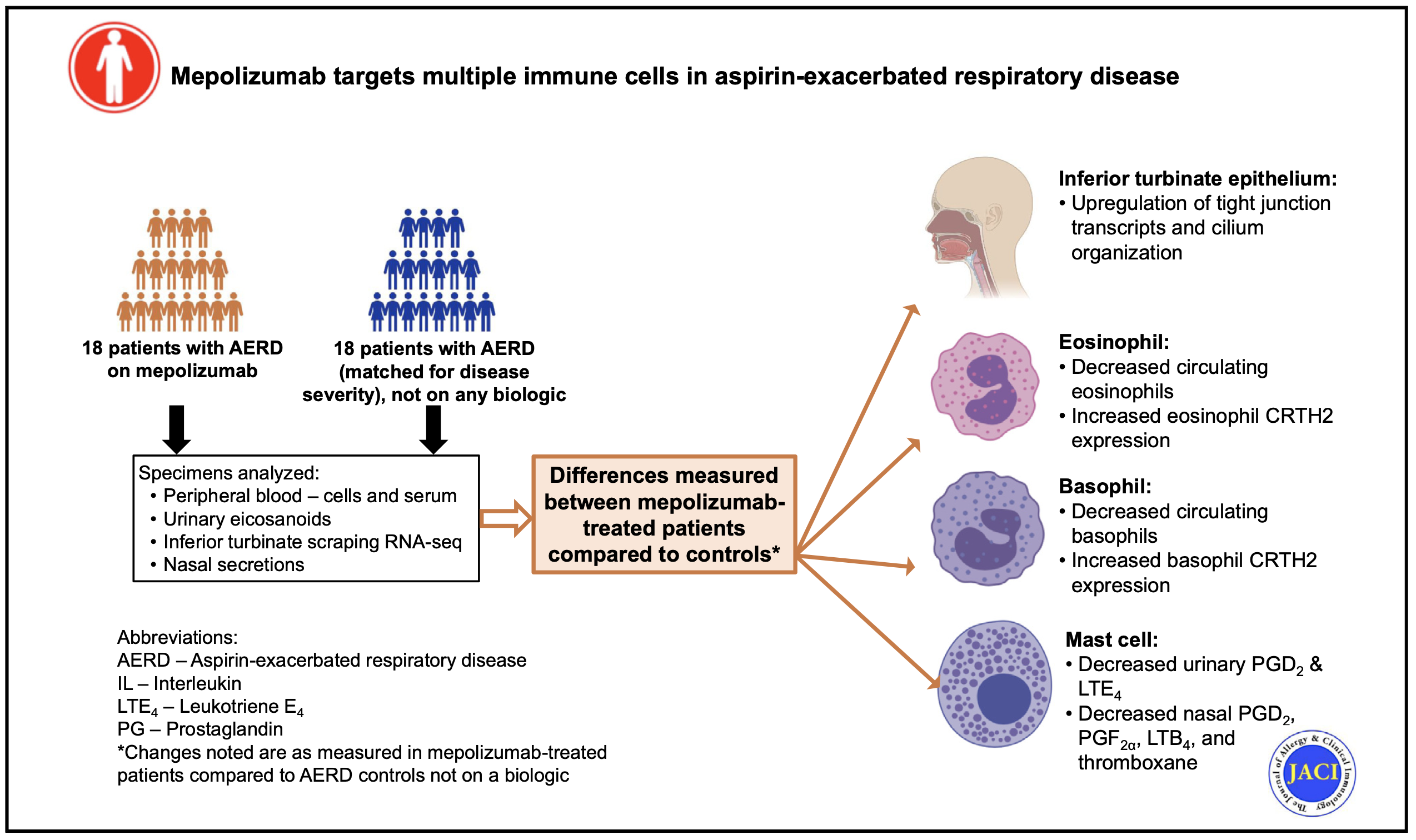 Mepolizumab targets multiple immune cells in aspirin-exacerbated respiratory disease