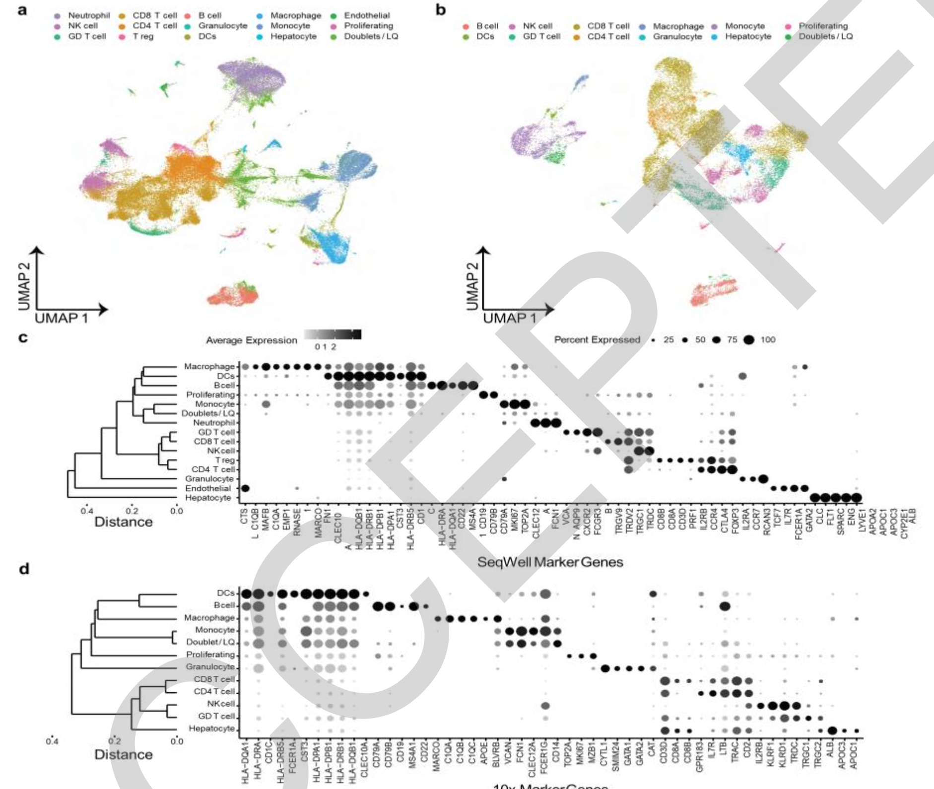 Single-cell RNA sequencing of liver fine-needle aspirates captures immune diversity in the blood and liver in chronic hepatitis B patients