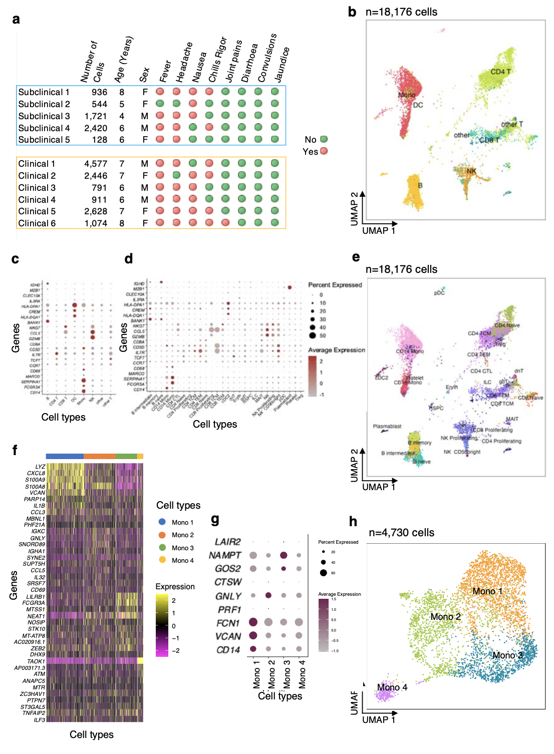 scRNA-Seq reveals elevated interferon responses and TNF-α signaling via NFkB in monocytes in children with clinical malaria