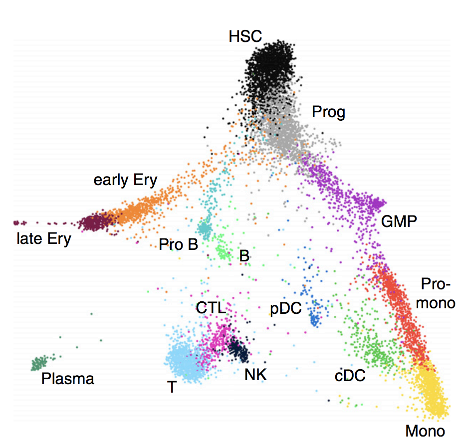 Single-Cell RNA-Seq Reveals AML Hierarchies Relevant to Disease Progression and Immunity