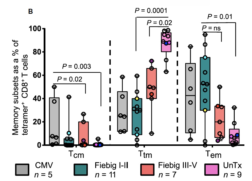 Augmentation of HIV-specific T cell function by immediate treatment of hyperacute HIV-1 infection
