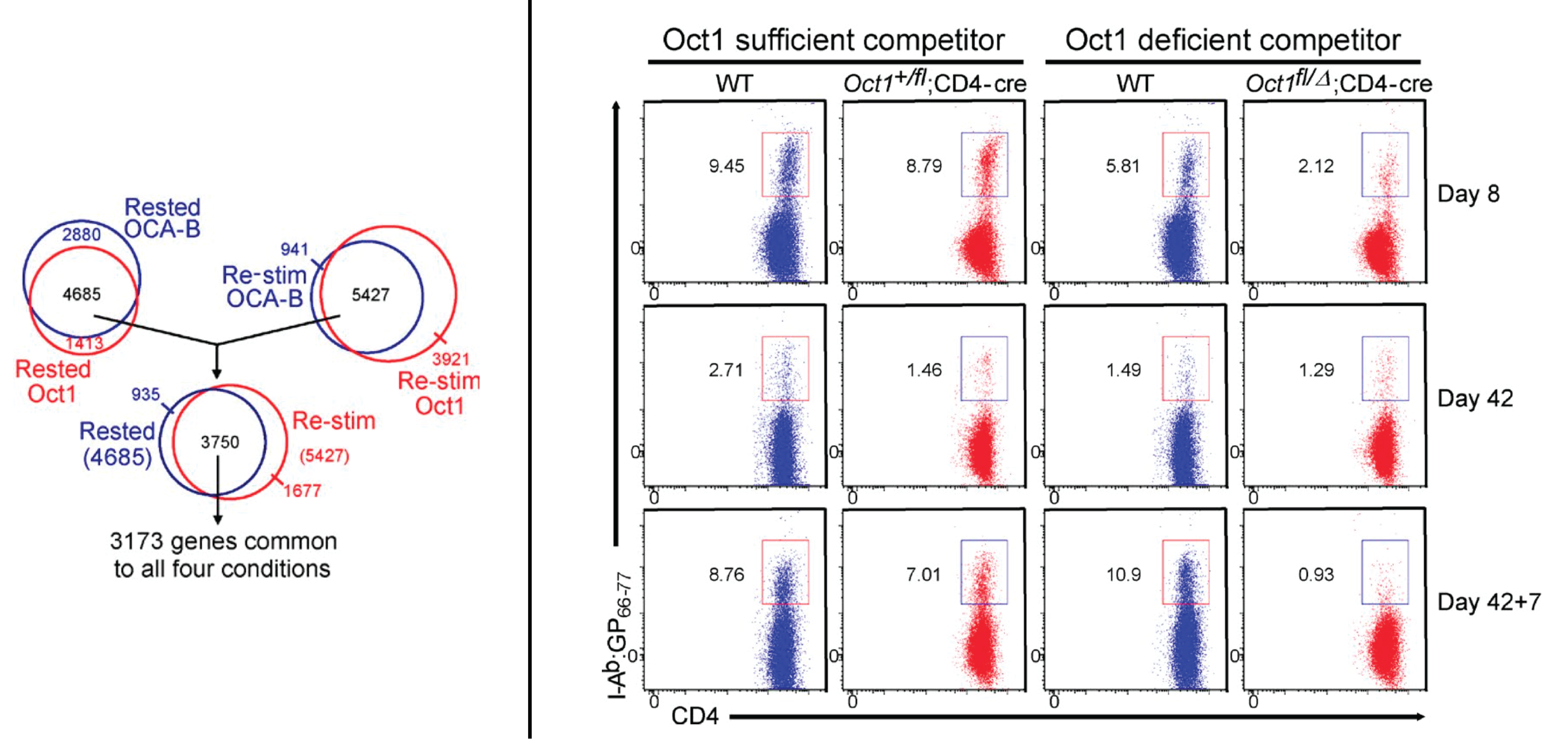 Oct1 and OCA-B are selectively required for CD4 memory T cell function