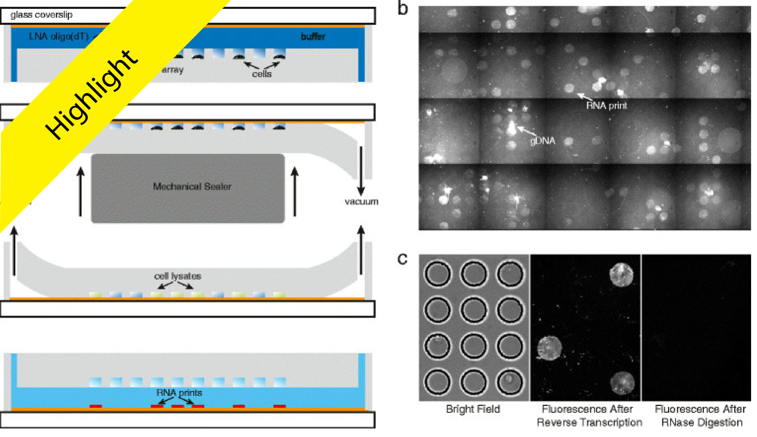 Marrying microfluidics and microwells for parallel, high-throughput single-cell genomics